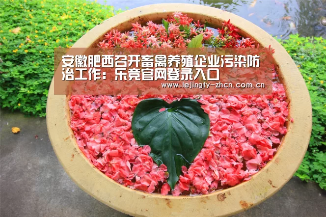 乐竞官网登录入口