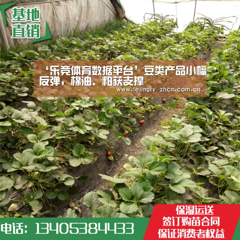 乐竞官网登录入口