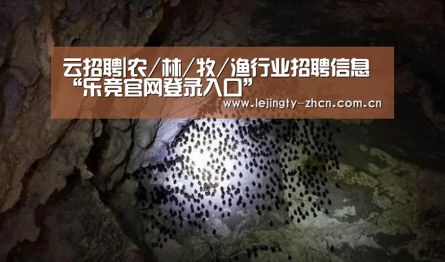 云招聘|农/林/牧/渔行业招聘信息“乐竞官网登录入口”(图1) 乐竞体育赛事分析