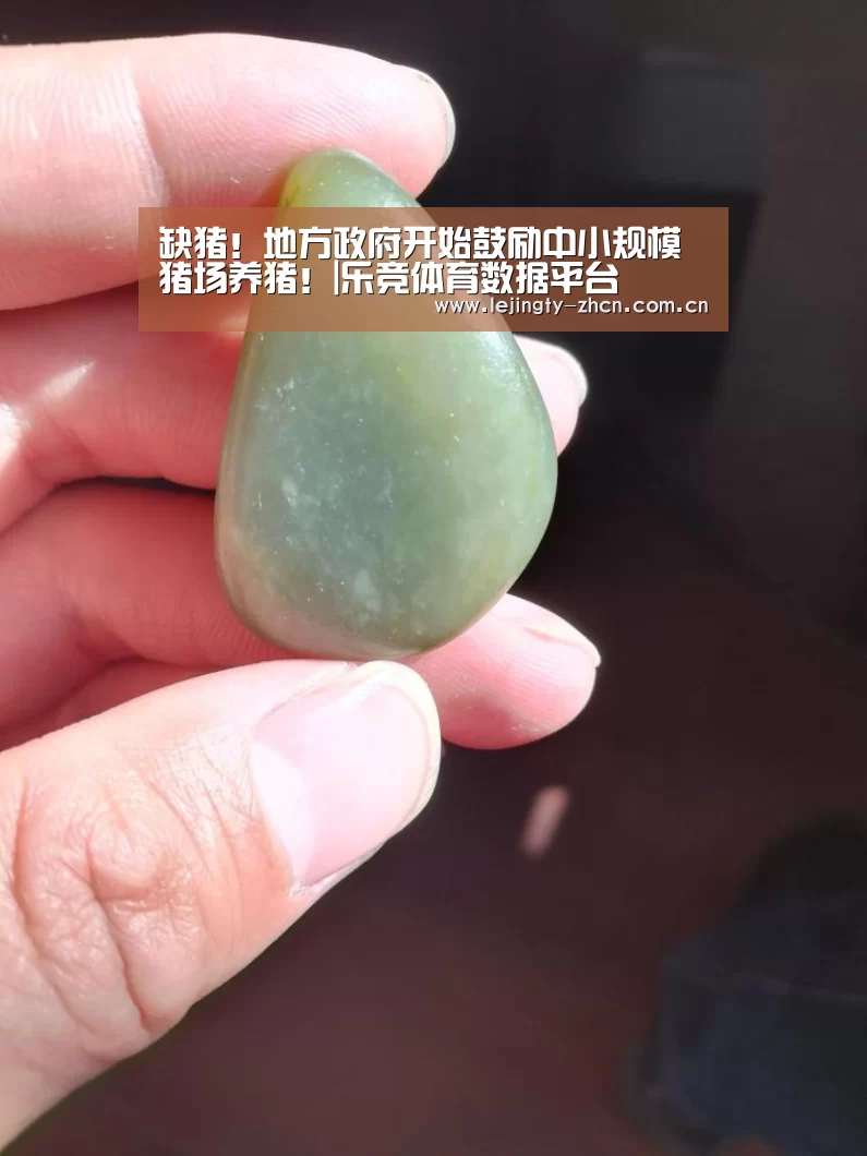 乐竞体育数据平台