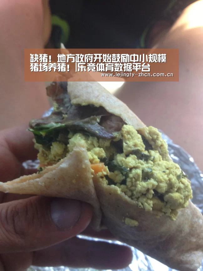 乐竞官网app下载
