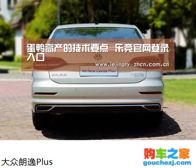 蛋鸭高产的技术要点-乐竞官网登录入口(图1) 乐竞官网app下载