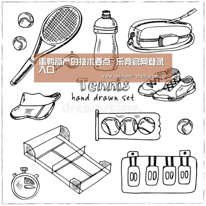 蛋鸭高产的技术要点-乐竞官网登录入口(图3) 乐竞官网app下载