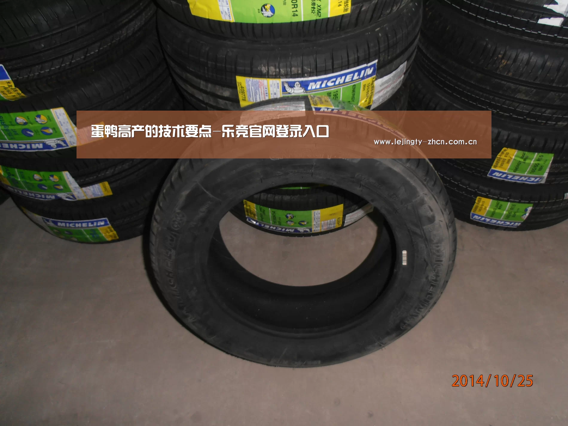 蛋鸭高产的技术要点-乐竞官网登录入口(图2) 乐竞官网app下载