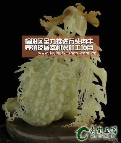 榆阳区全力推进万头肉牛养殖及屠宰和深加工项目建设|乐竞体育赛事分析(图4) 乐竞官网登录入口