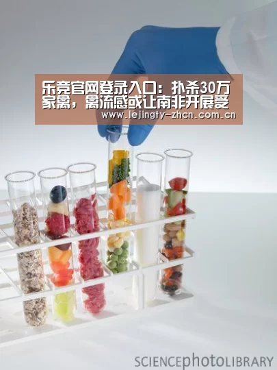 乐竞官网登录入口:扑杀30万家禽,禽流感或让南非开展受精蛋进口(图2) 乐竞官网app下载